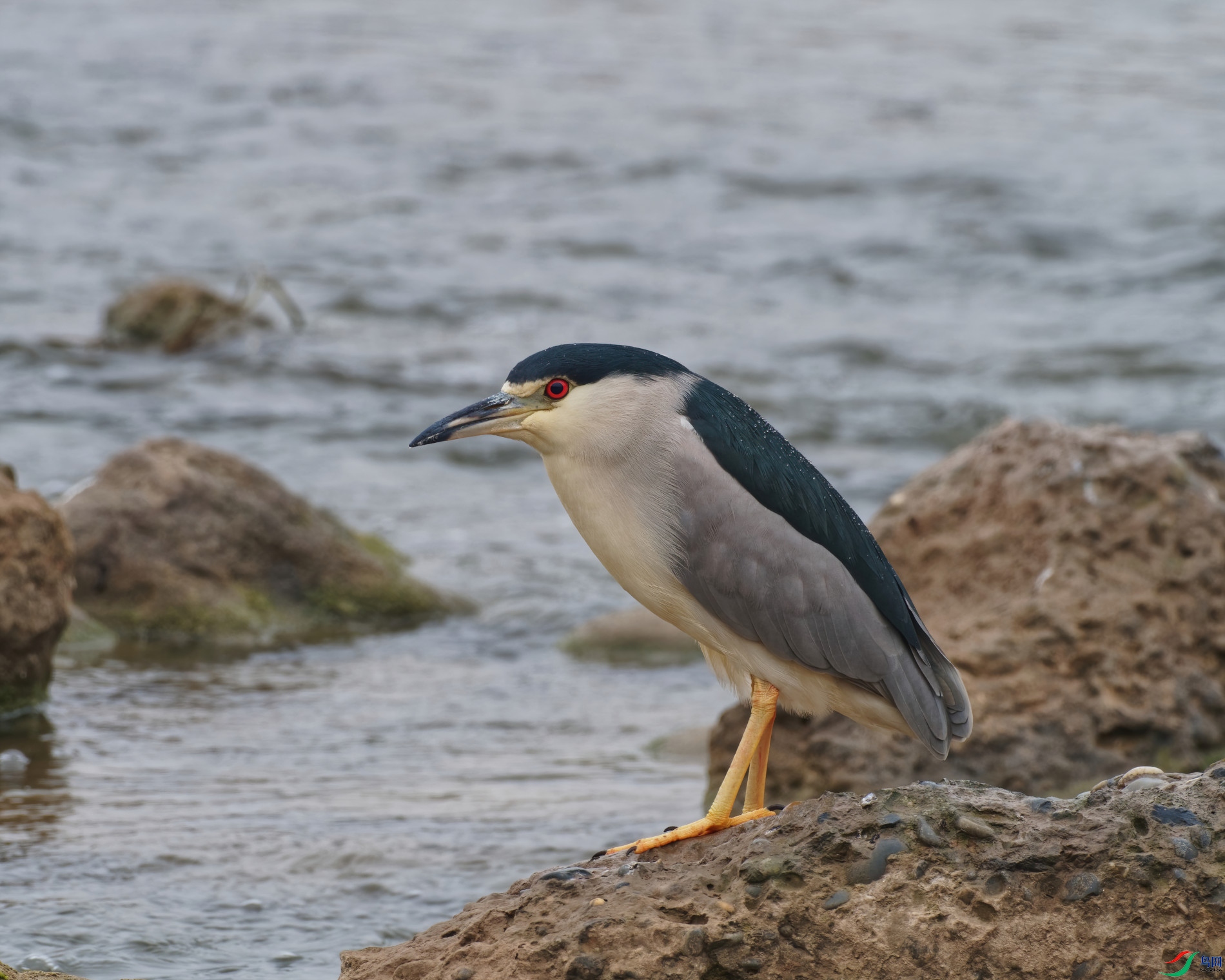 PC160103_DxO-d2.jpg