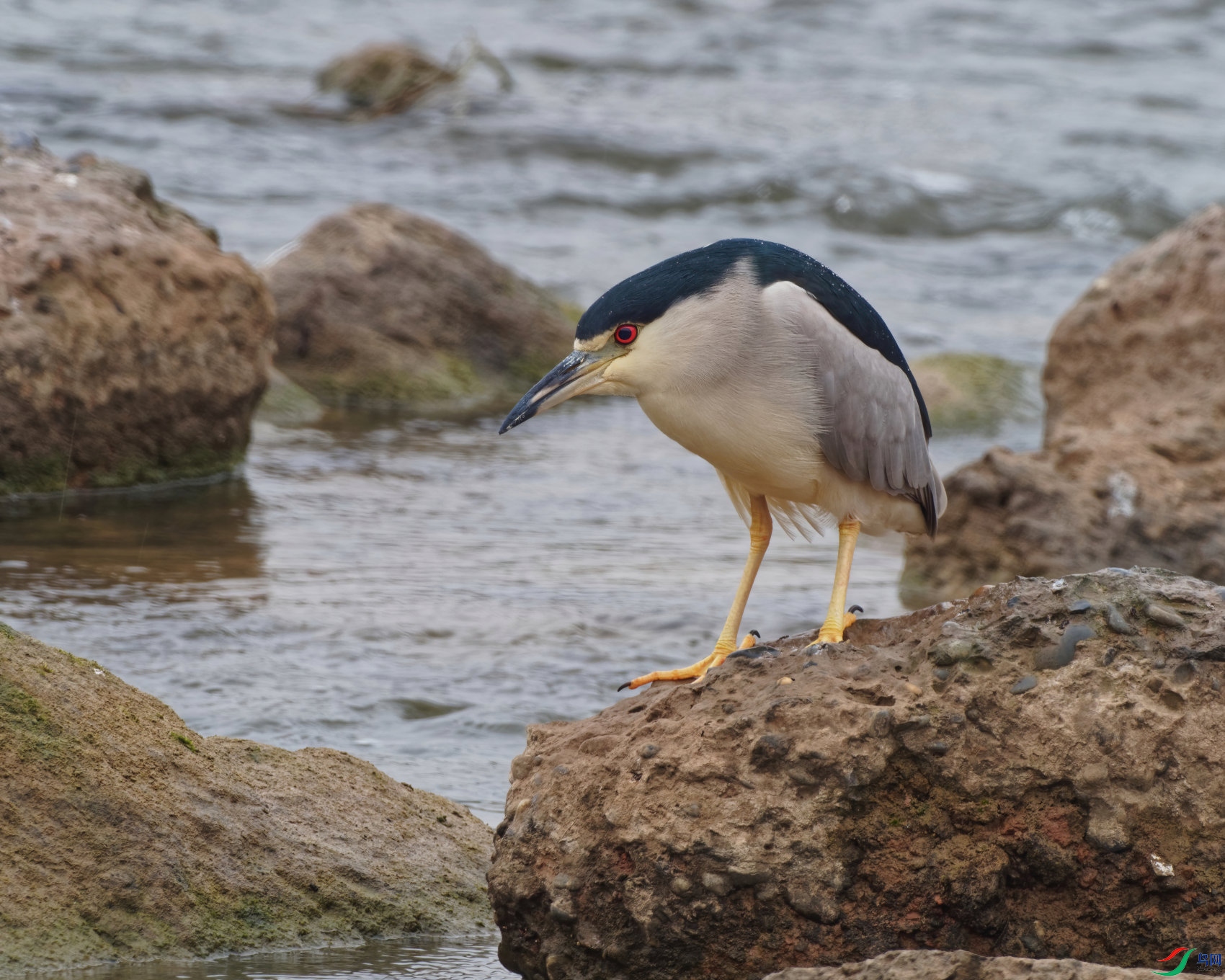PC160116_DxO-sd2.jpg
