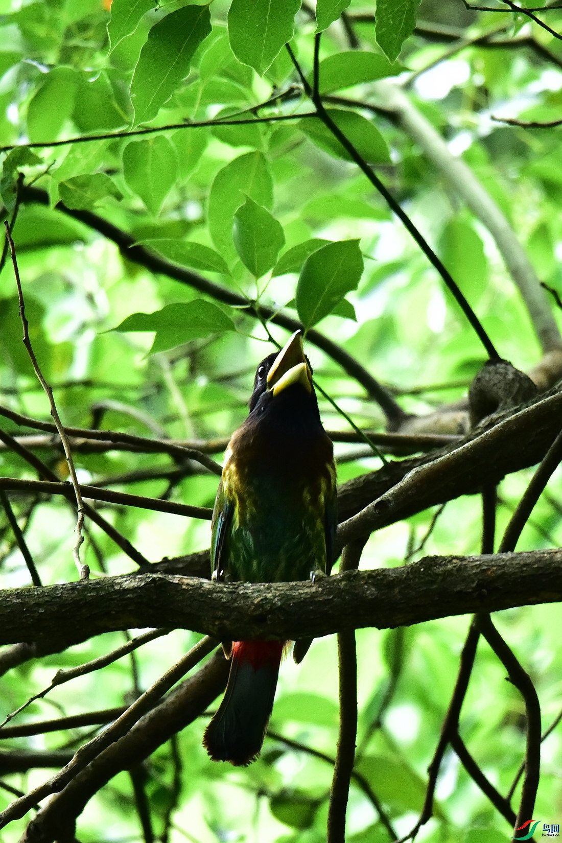 DSC_0827.JPG