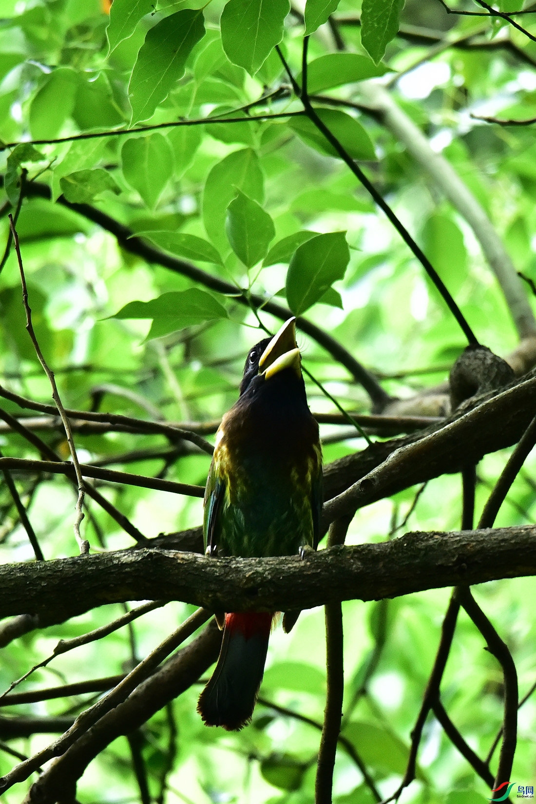DSC_0828.JPG
