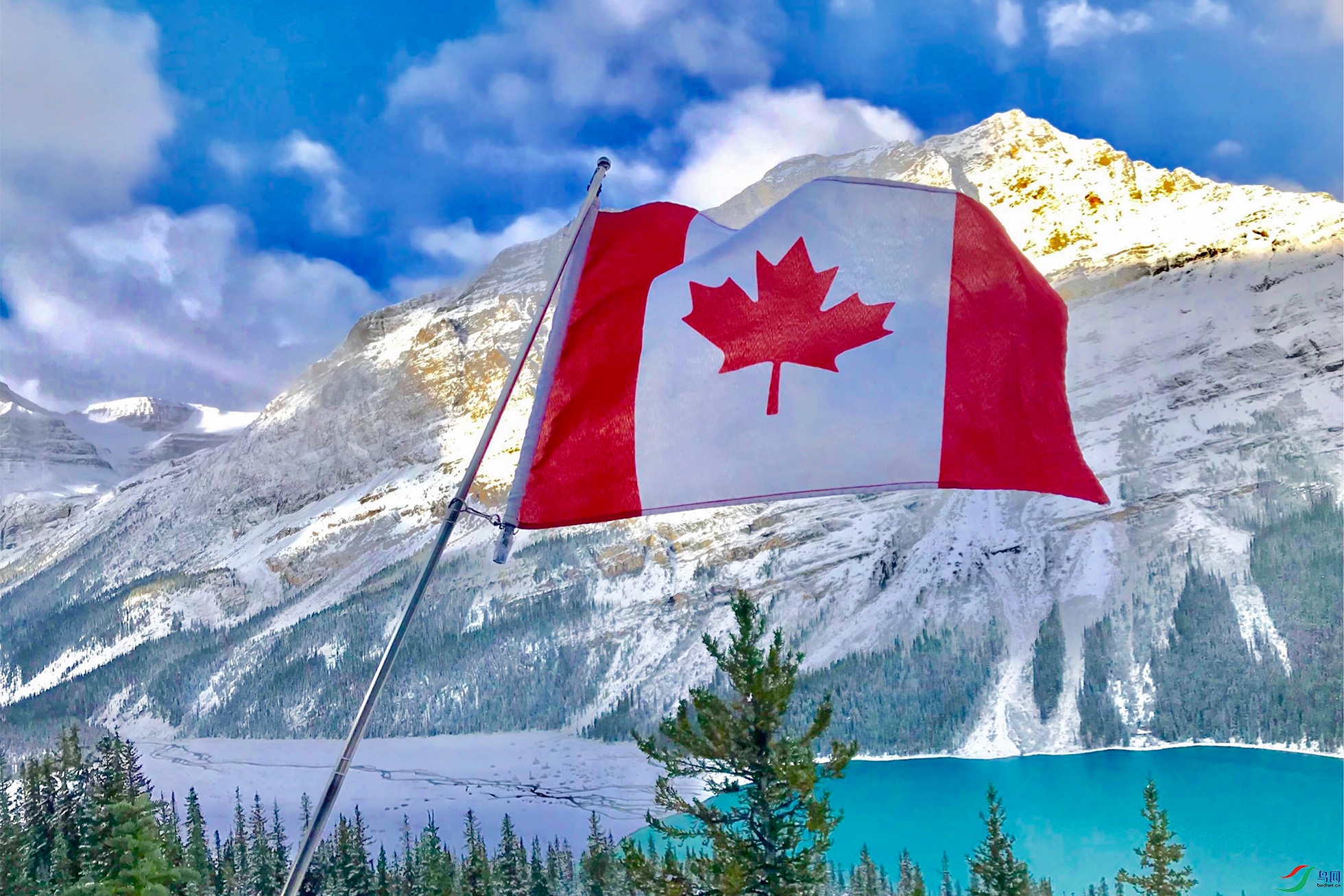 枫叶之国加拿大