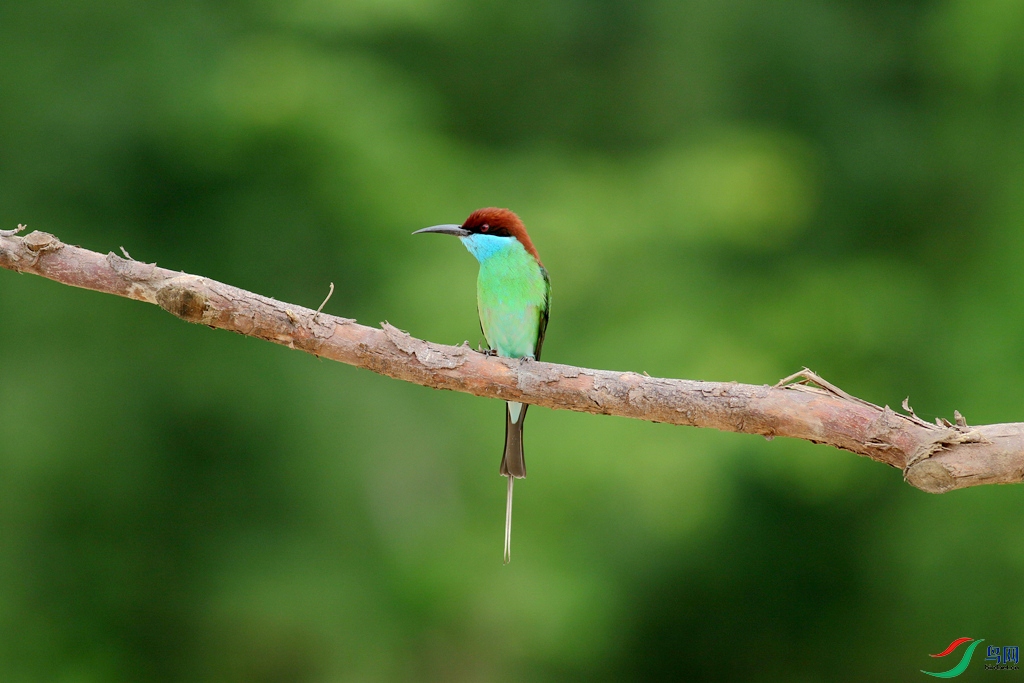 367A4407_����.jpg