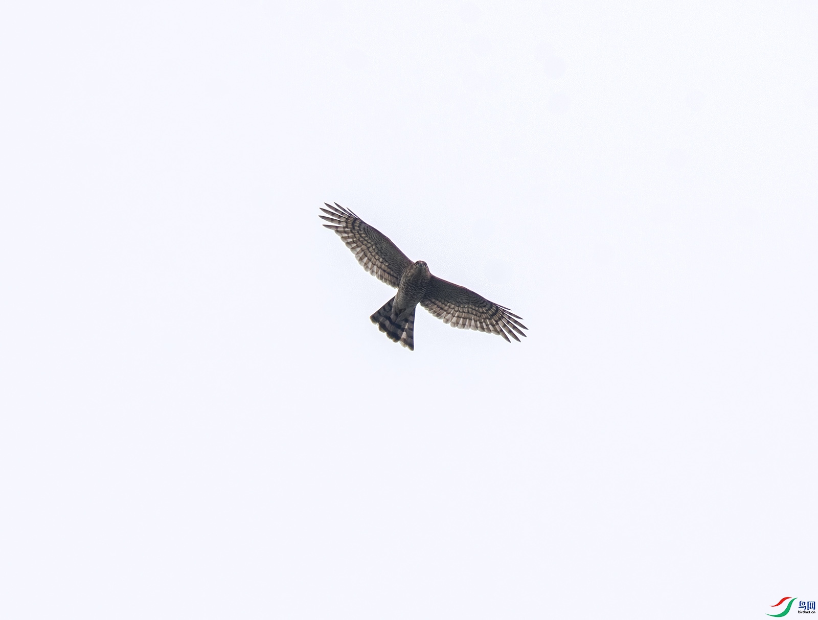 DSC_4735.jpg