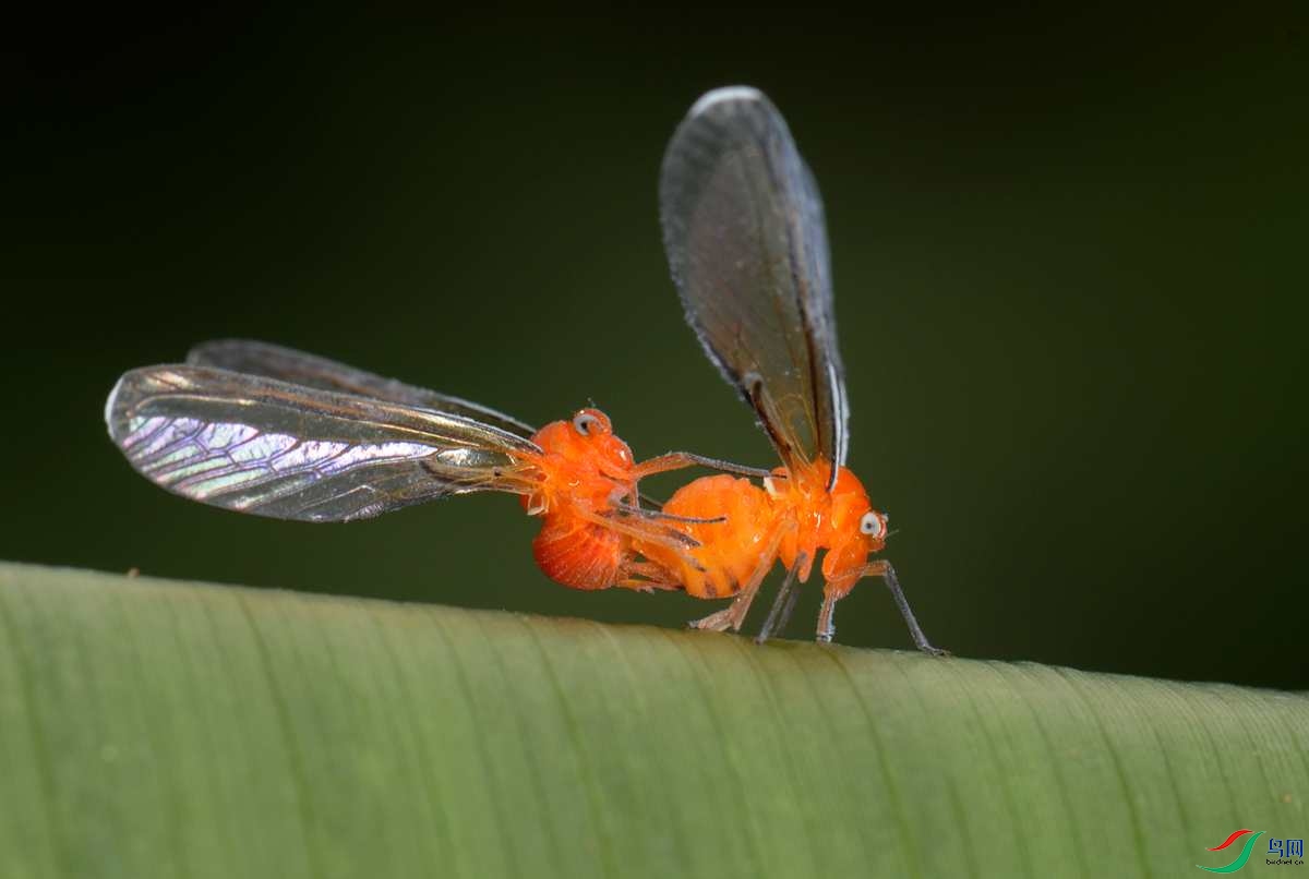 DSC_3439_����.jpg