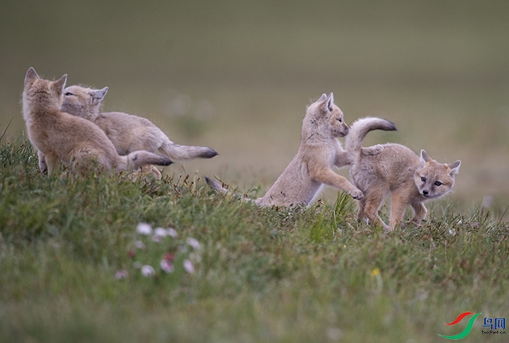 Photo taken on 2017-06-16 10-36-38 (2).jpg