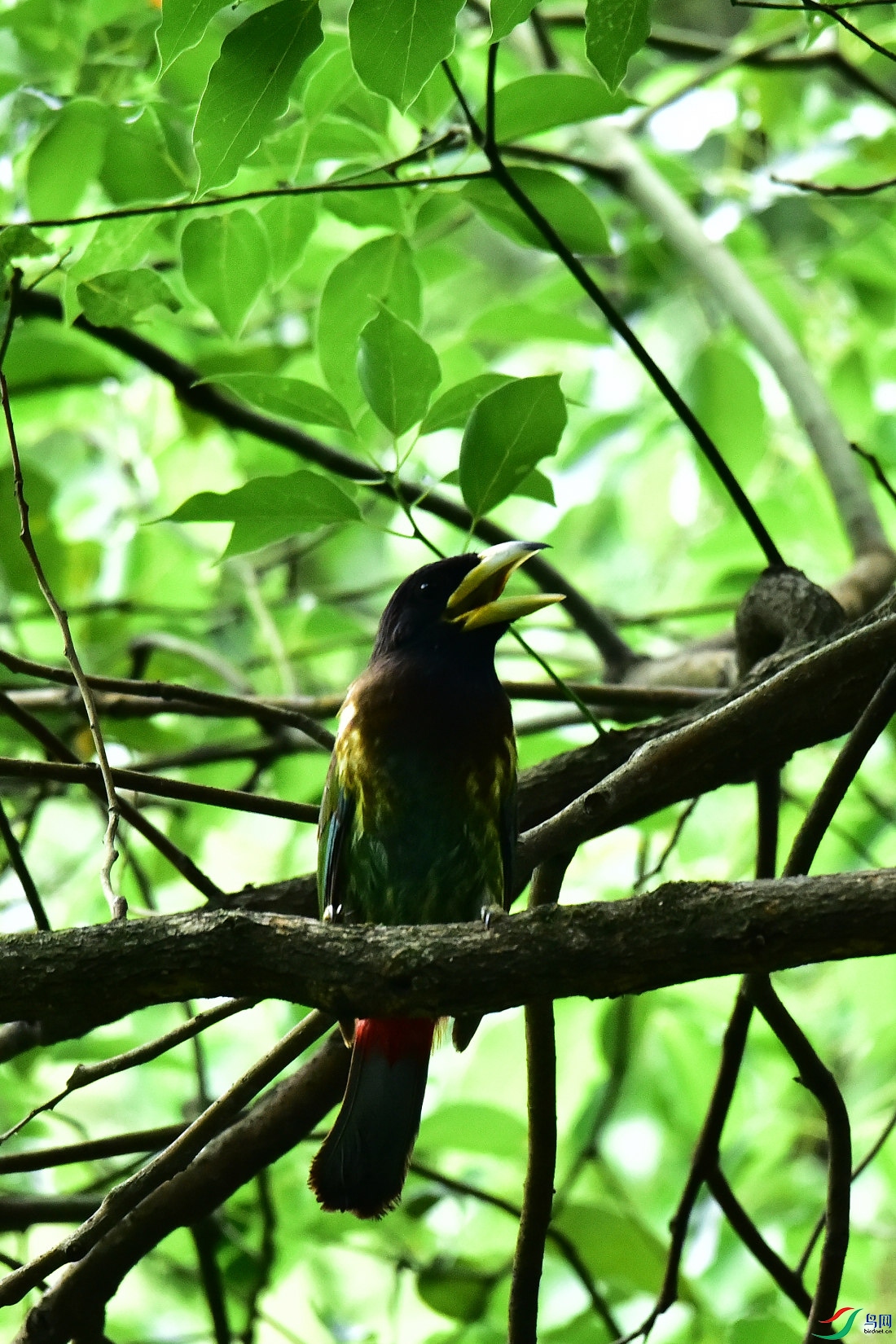 DSC_0829.JPG