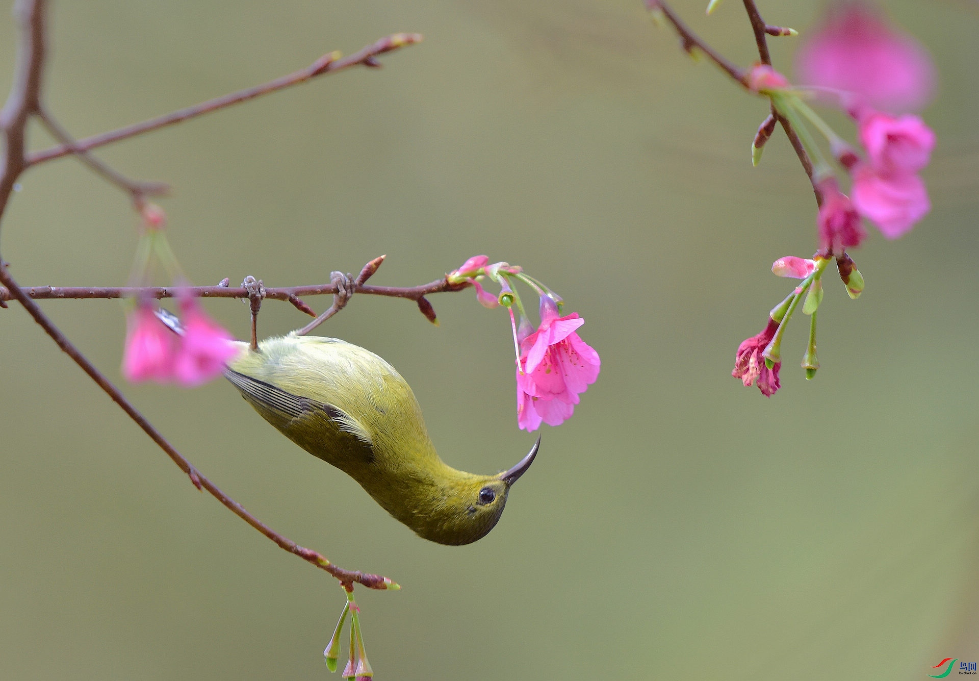 D8I_0224.jpg