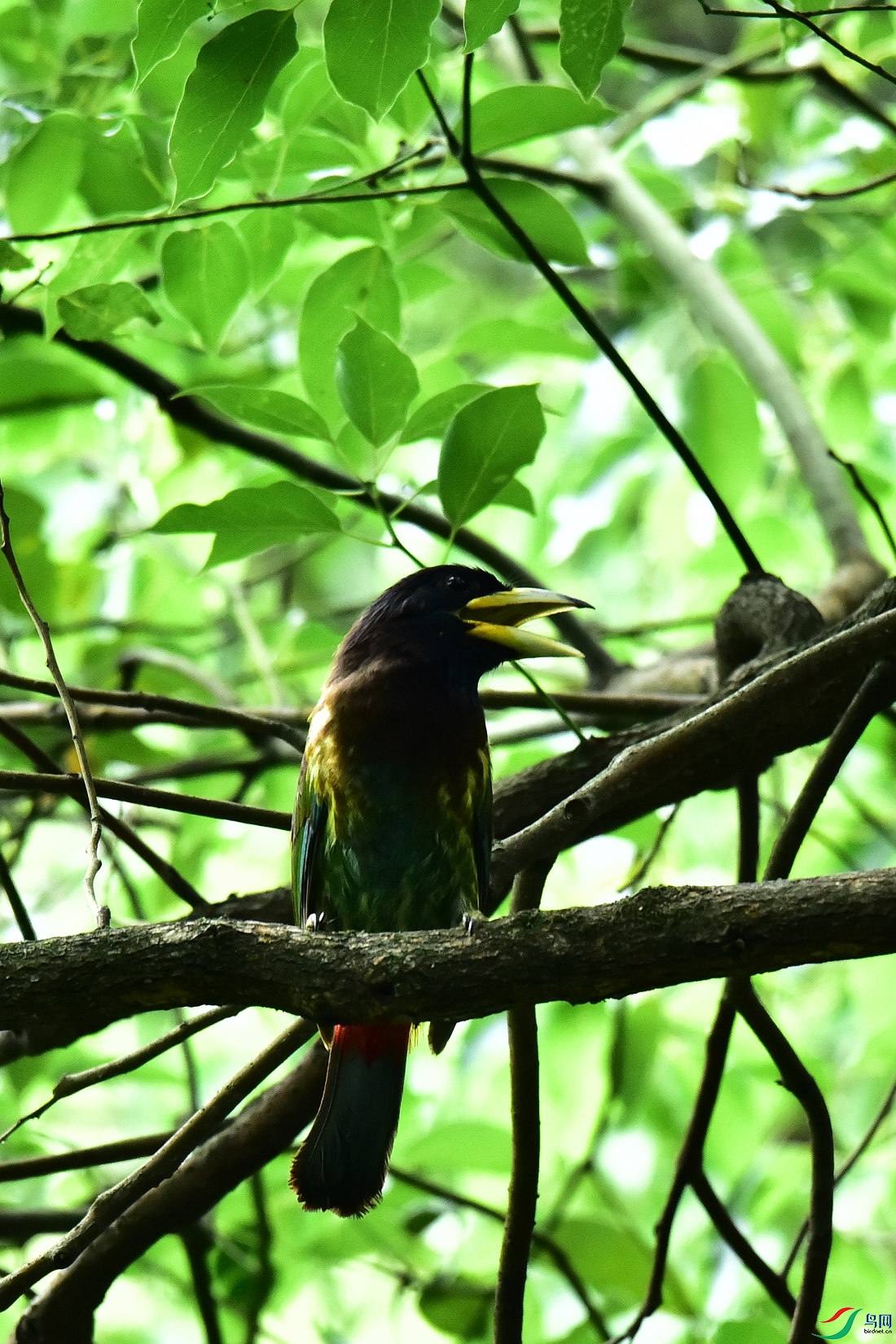 DSC_0831.JPG
