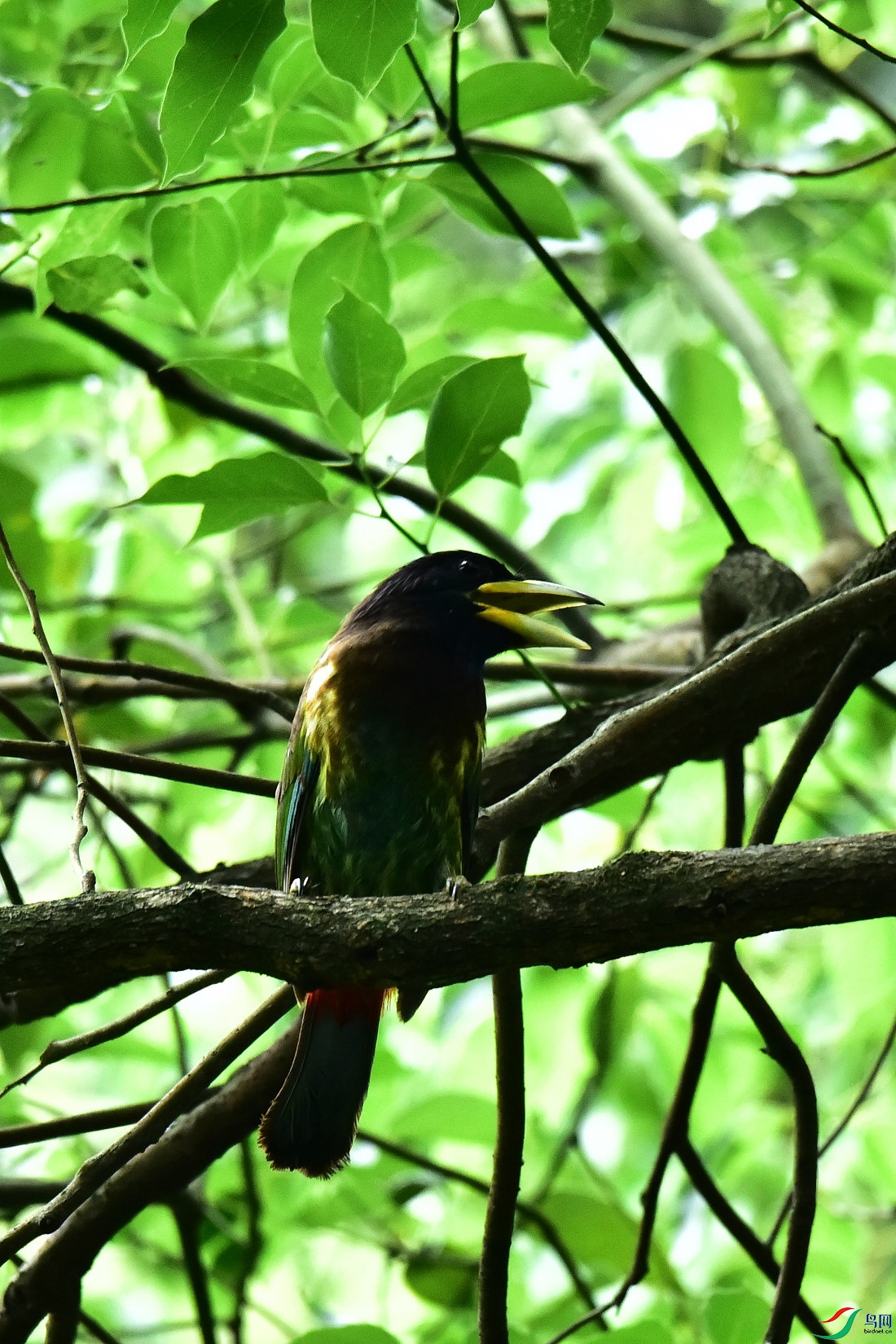 DSC_0832.JPG