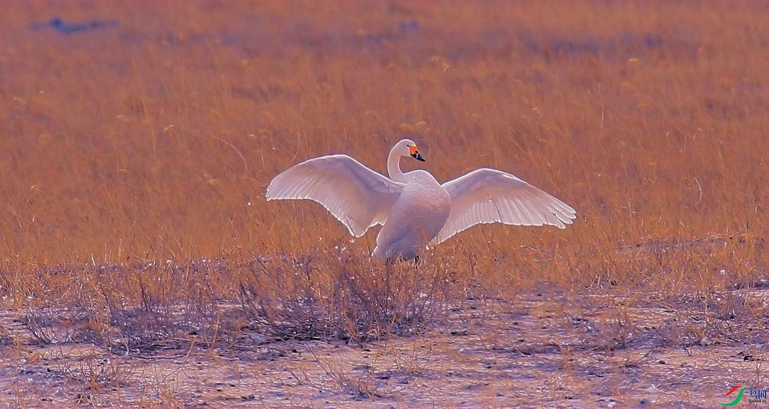 AK2Y9865_15000.jpg