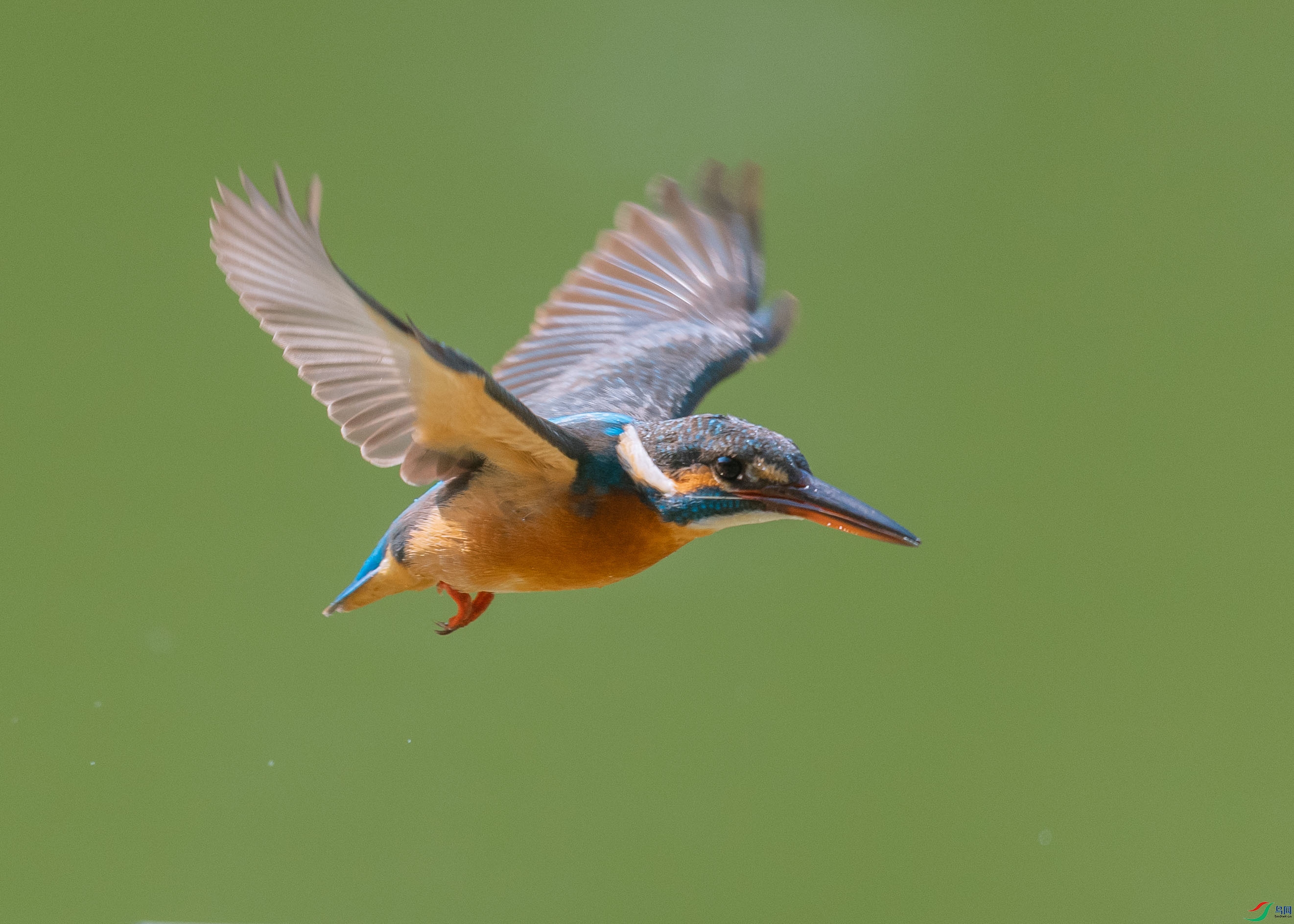 DSC_9891.jpg