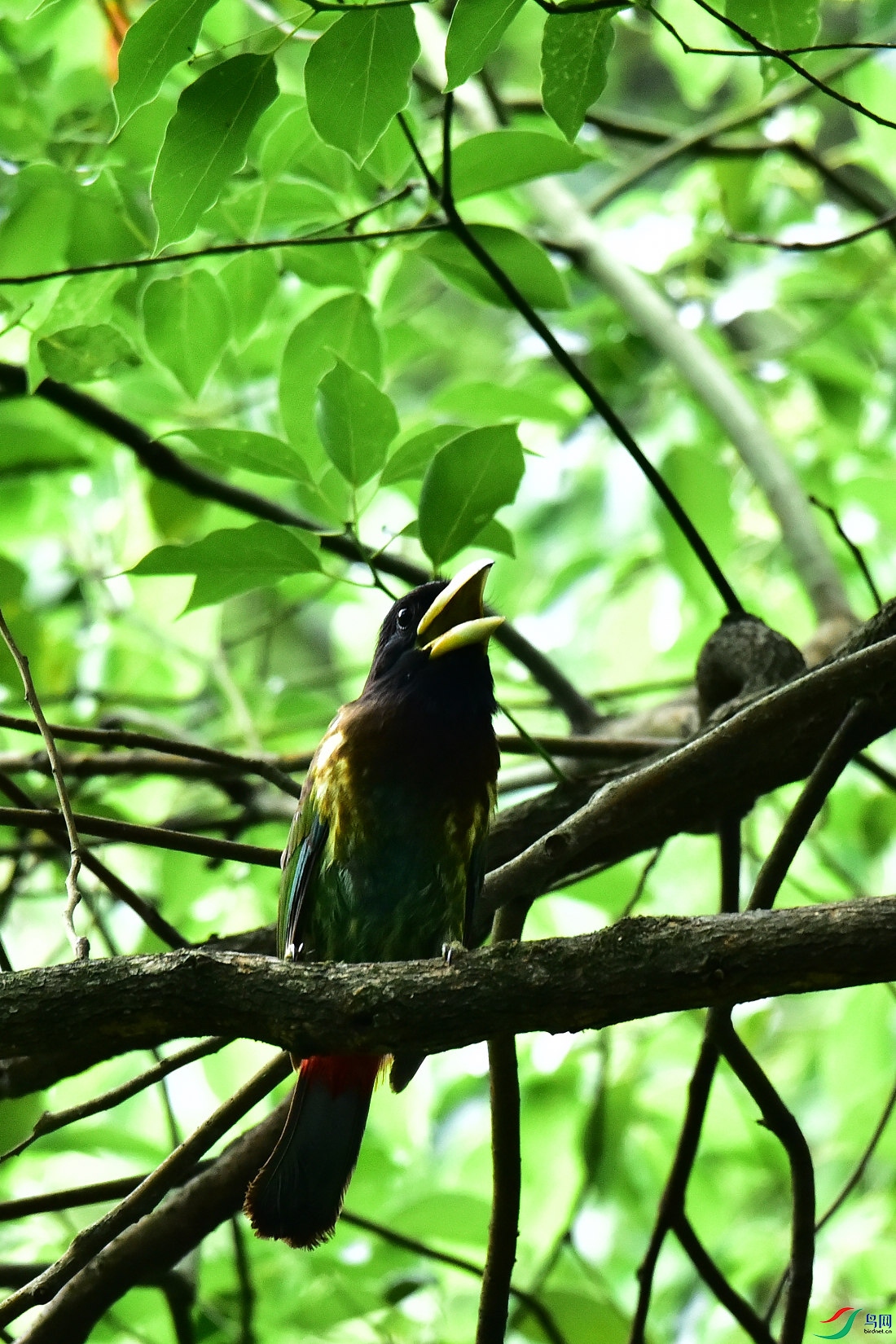 DSC_0833.JPG