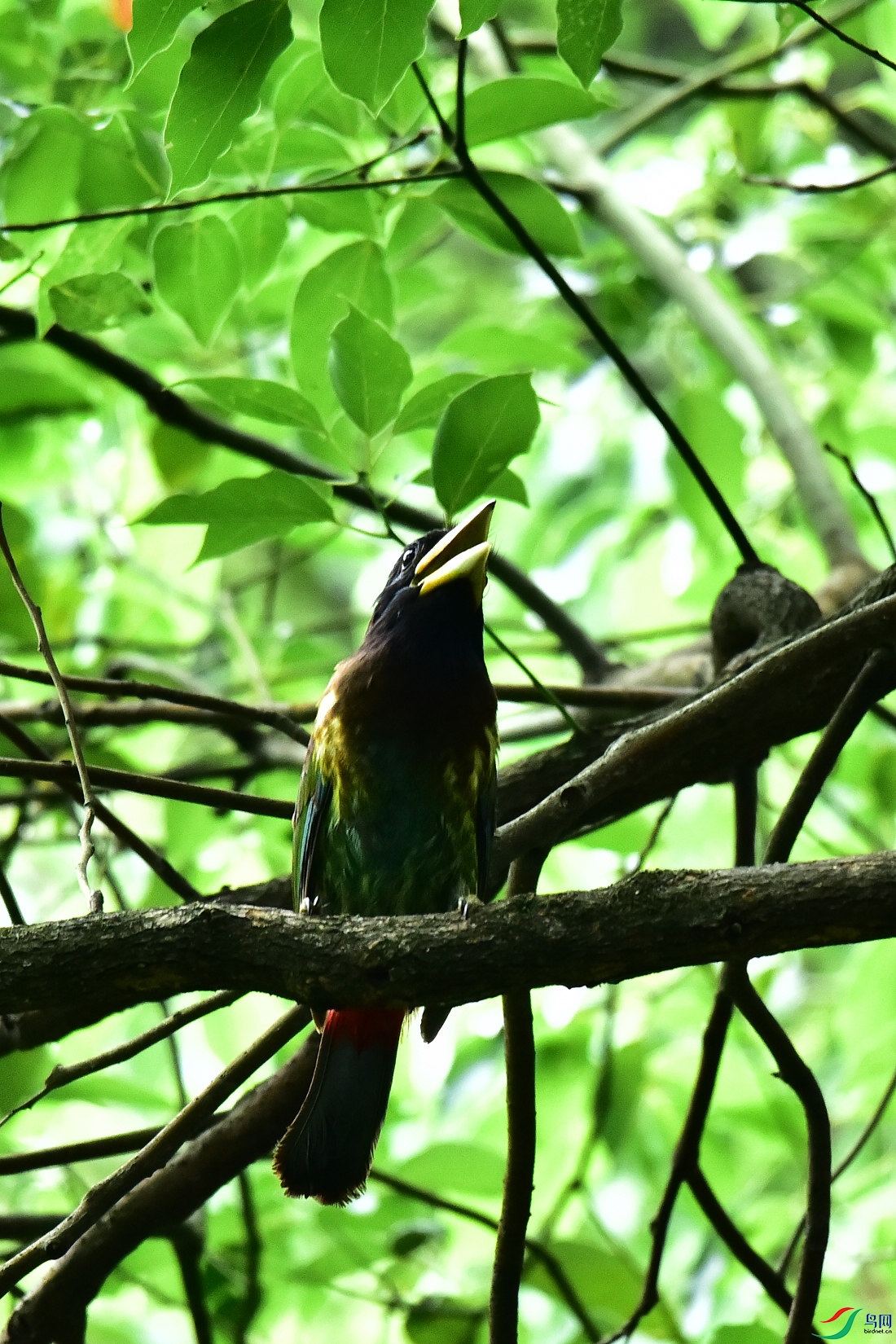 DSC_0834.JPG