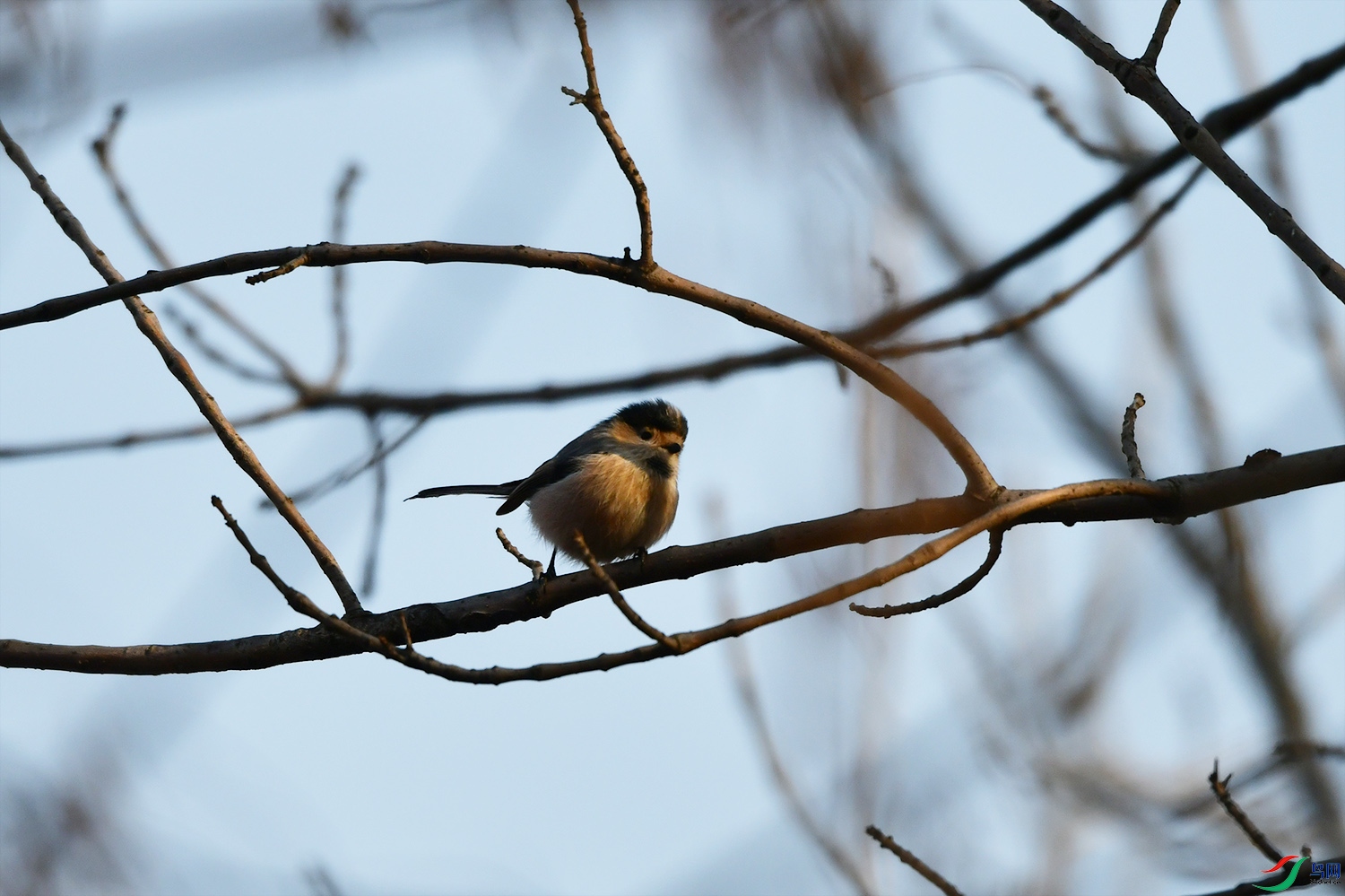DSC_8845.jpg