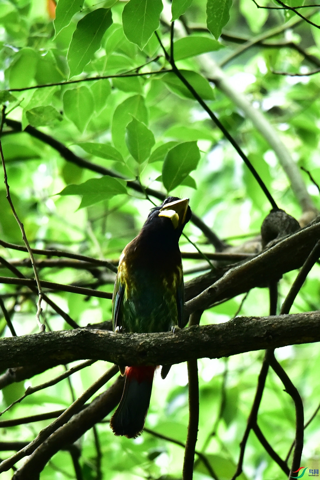 DSC_0835.JPG