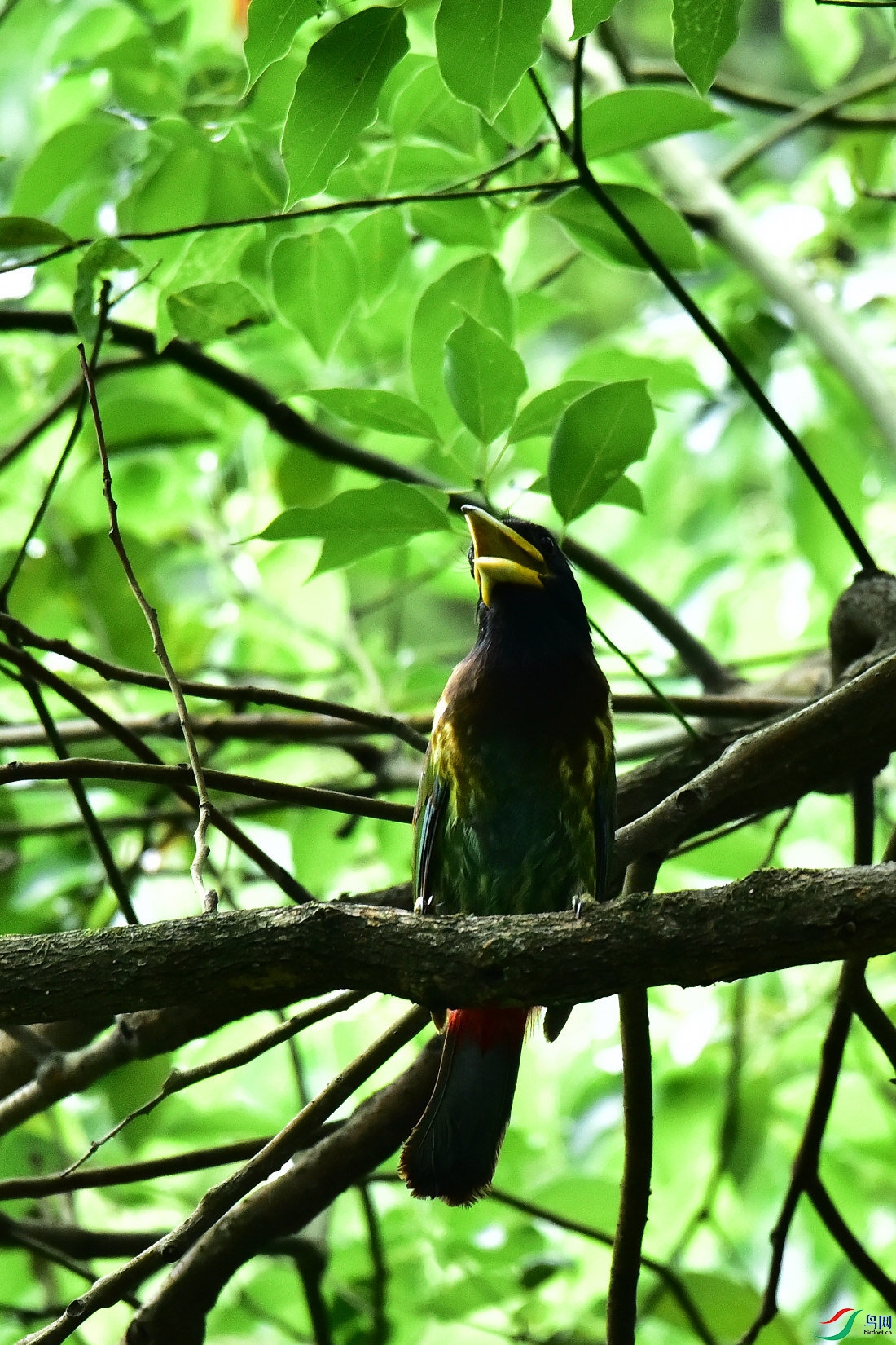 DSC_0836.JPG