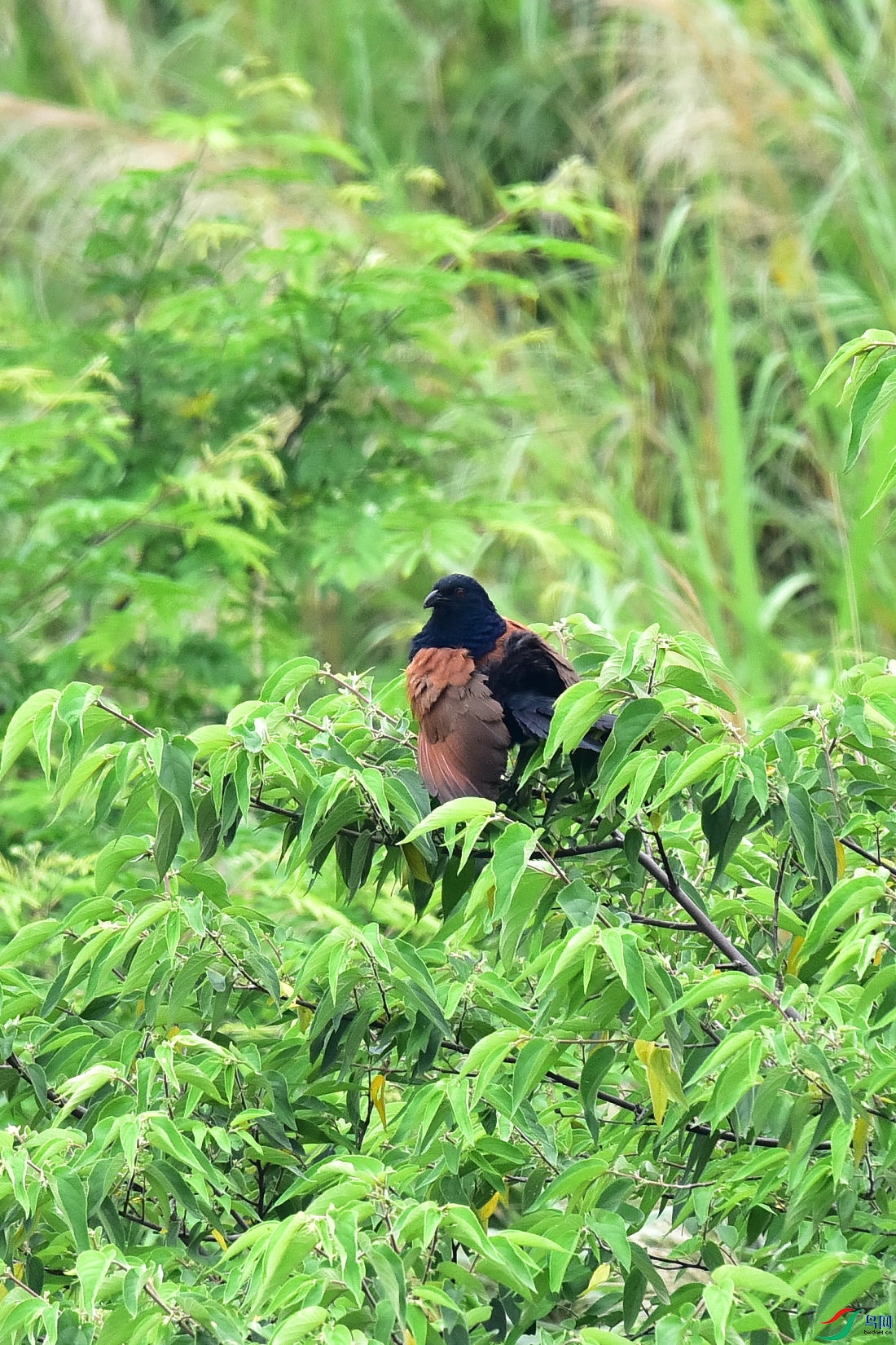DSC_0135.JPG