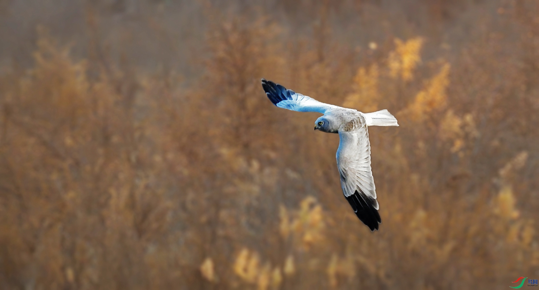DSC_7198_����.jpg