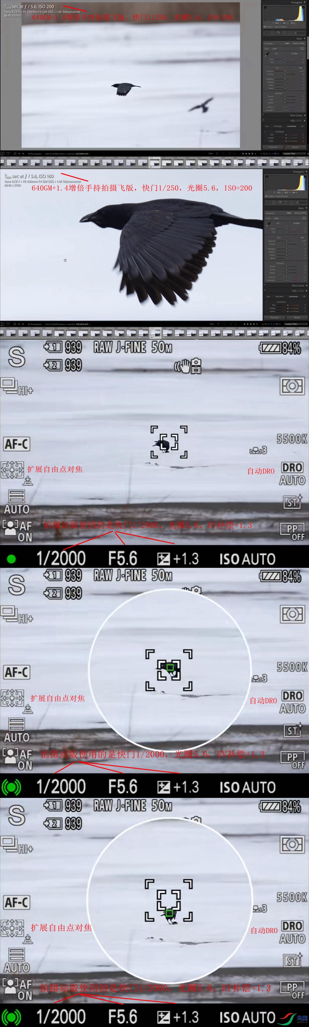 NeoImage_����_����.jpg