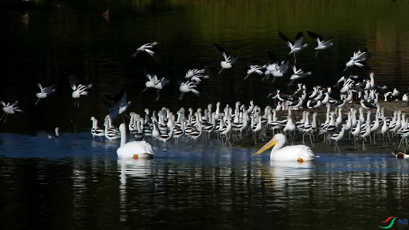 DSC_5357a.jpg