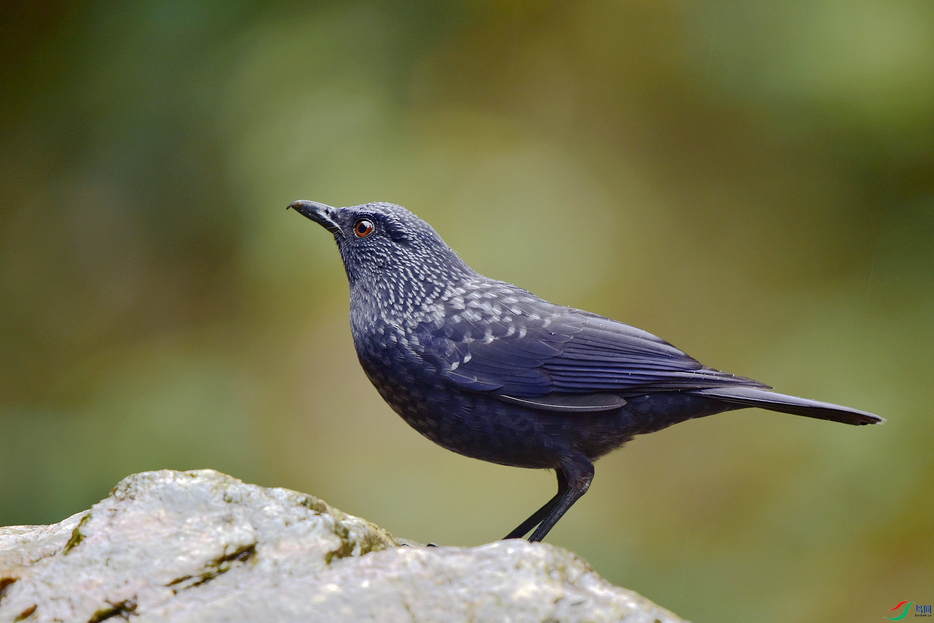 D8I_7505.jpg