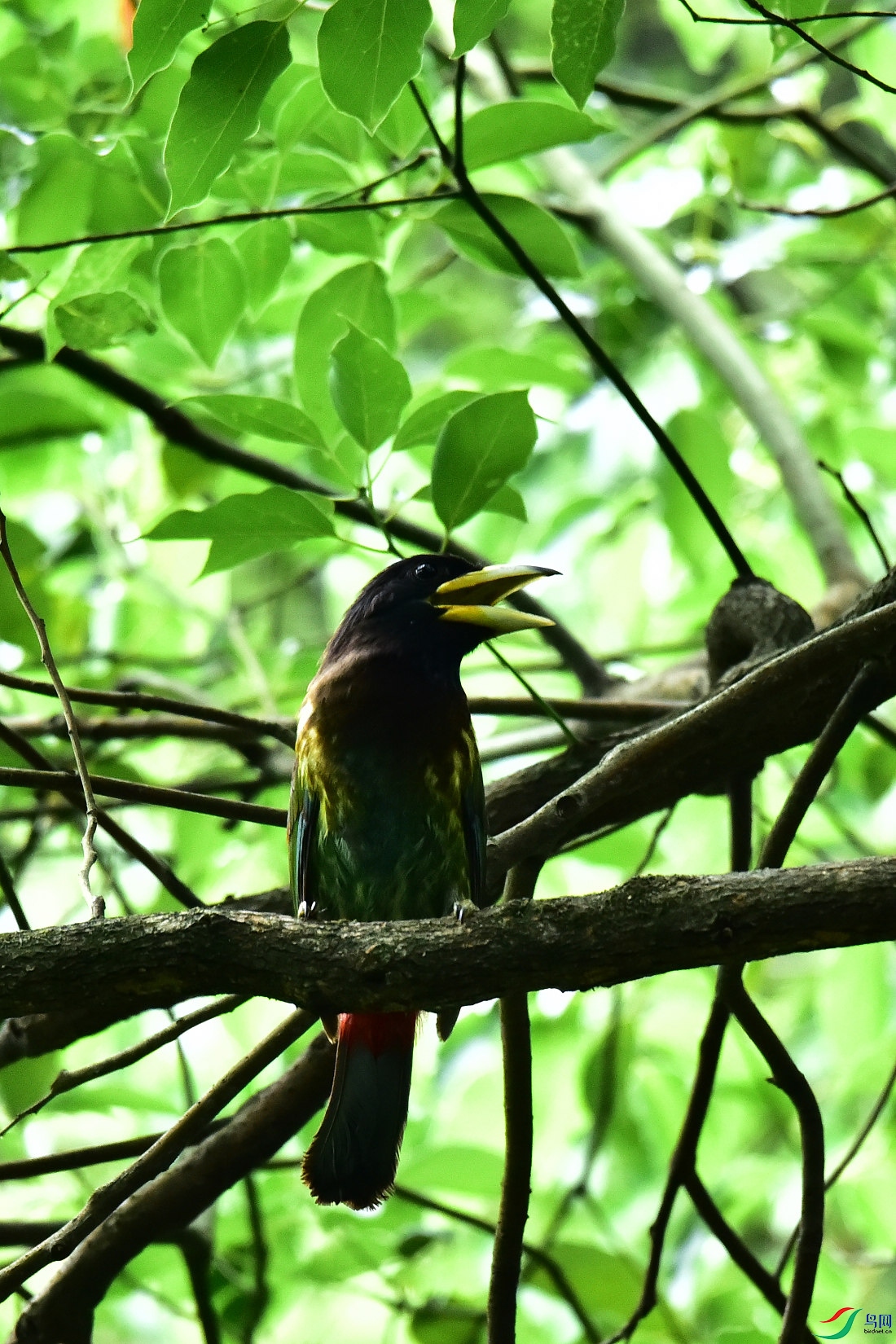 DSC_0840.JPG