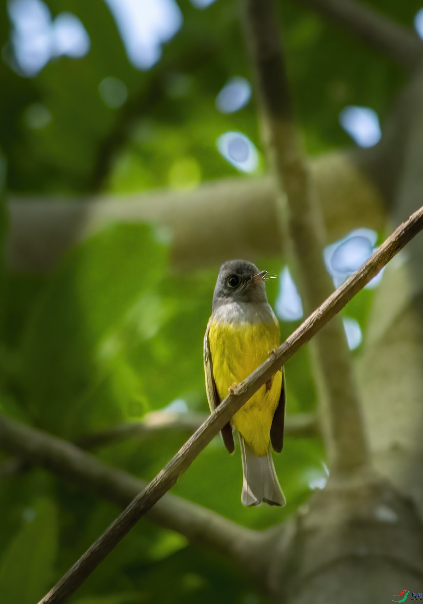 DSC_0219.jpg