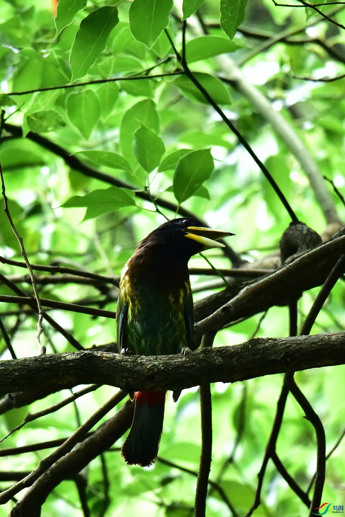 DSC_0841.JPG