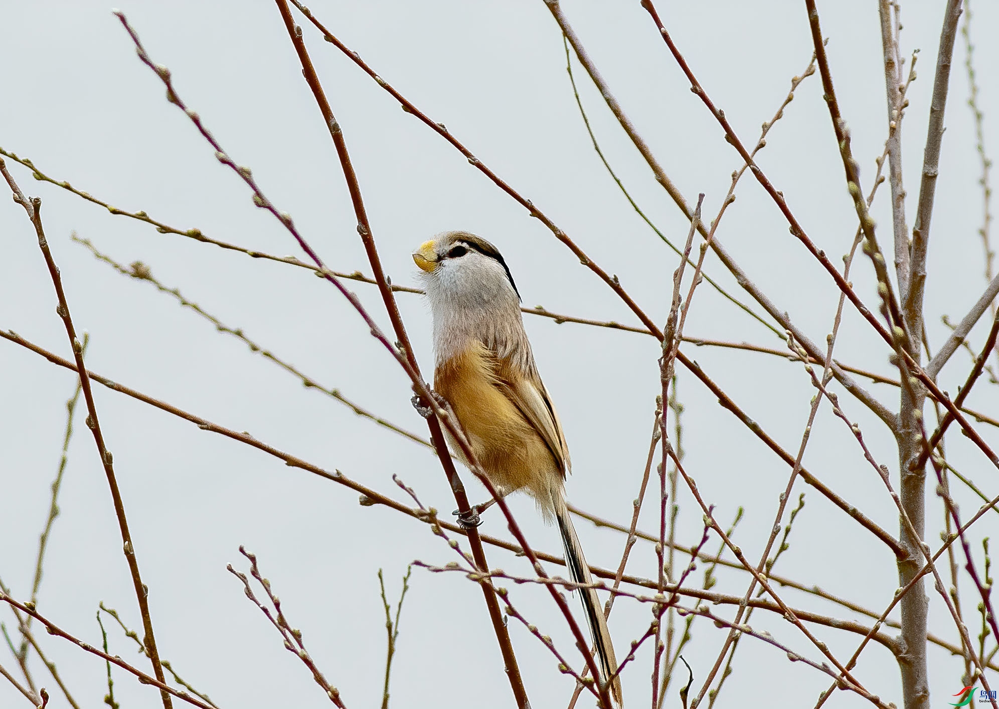K7D08431.jpg