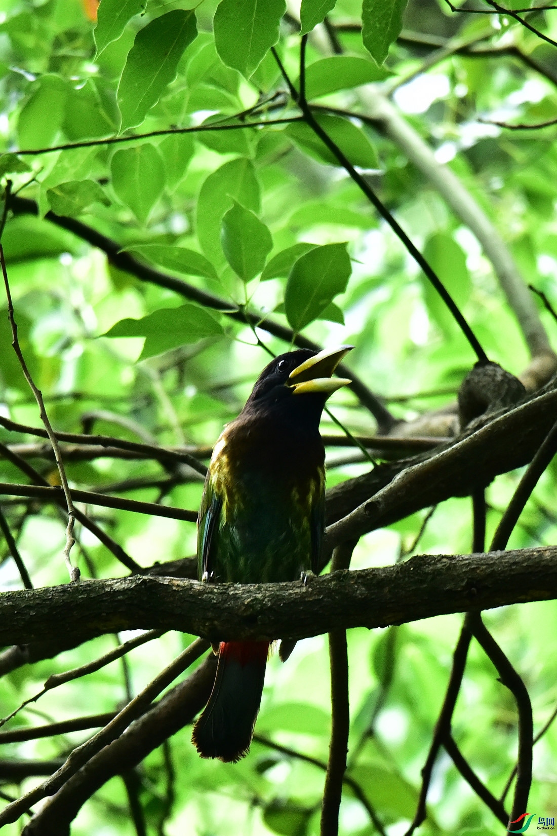 DSC_0843.JPG