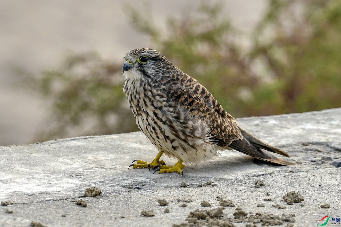 DSC_4792.jpg