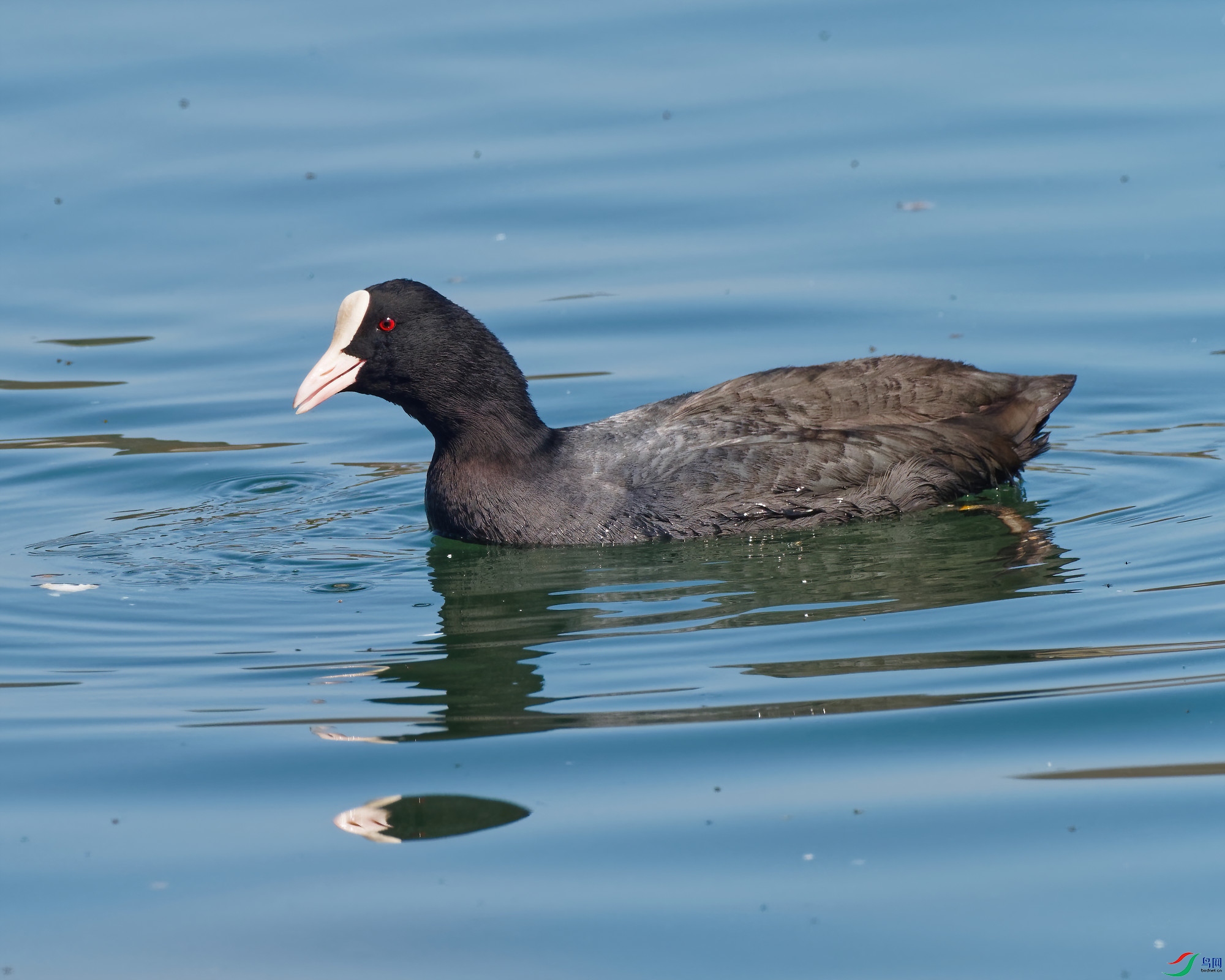 P2160134_DxO-d2.jpg