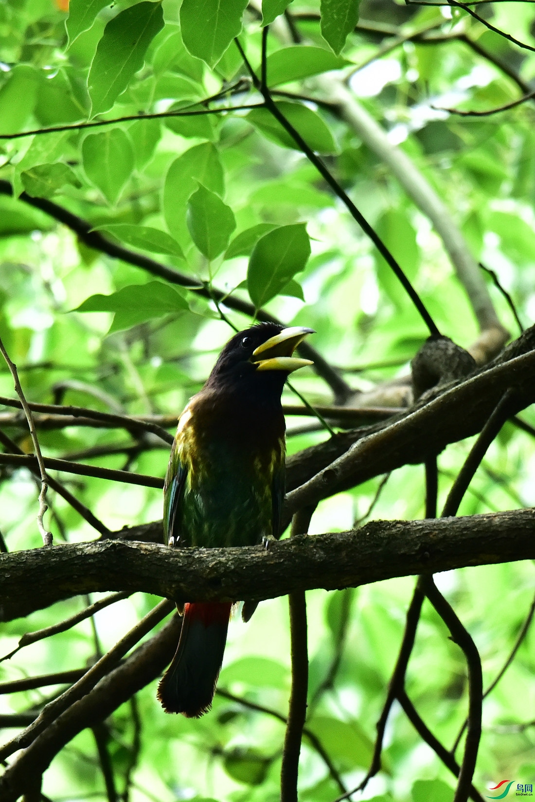 DSC_0845.JPG
