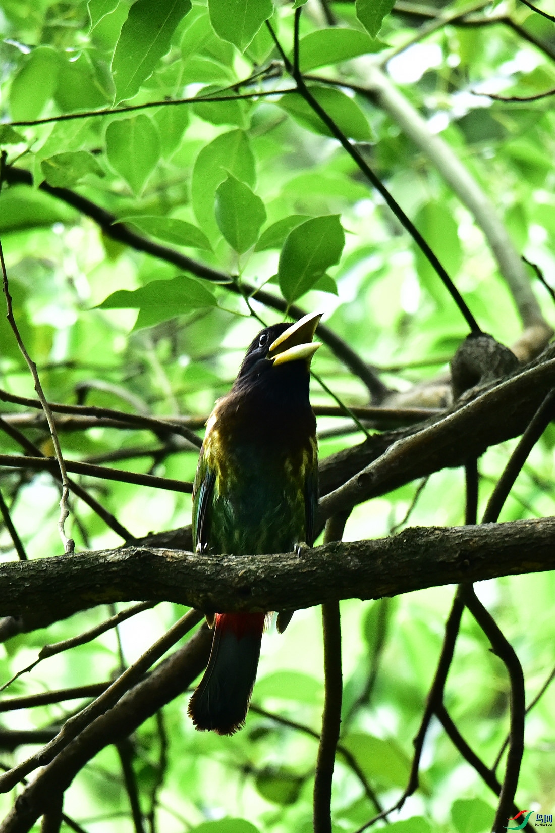 DSC_0846.JPG