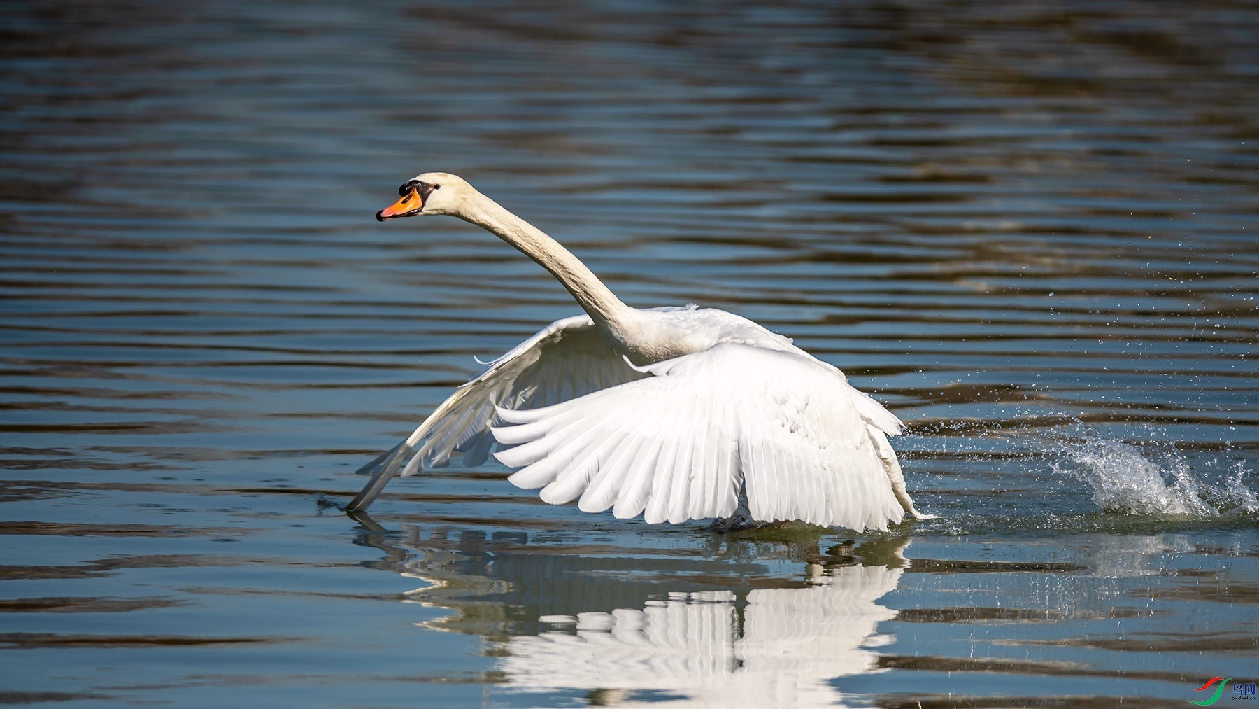 DSC_6850.jpg