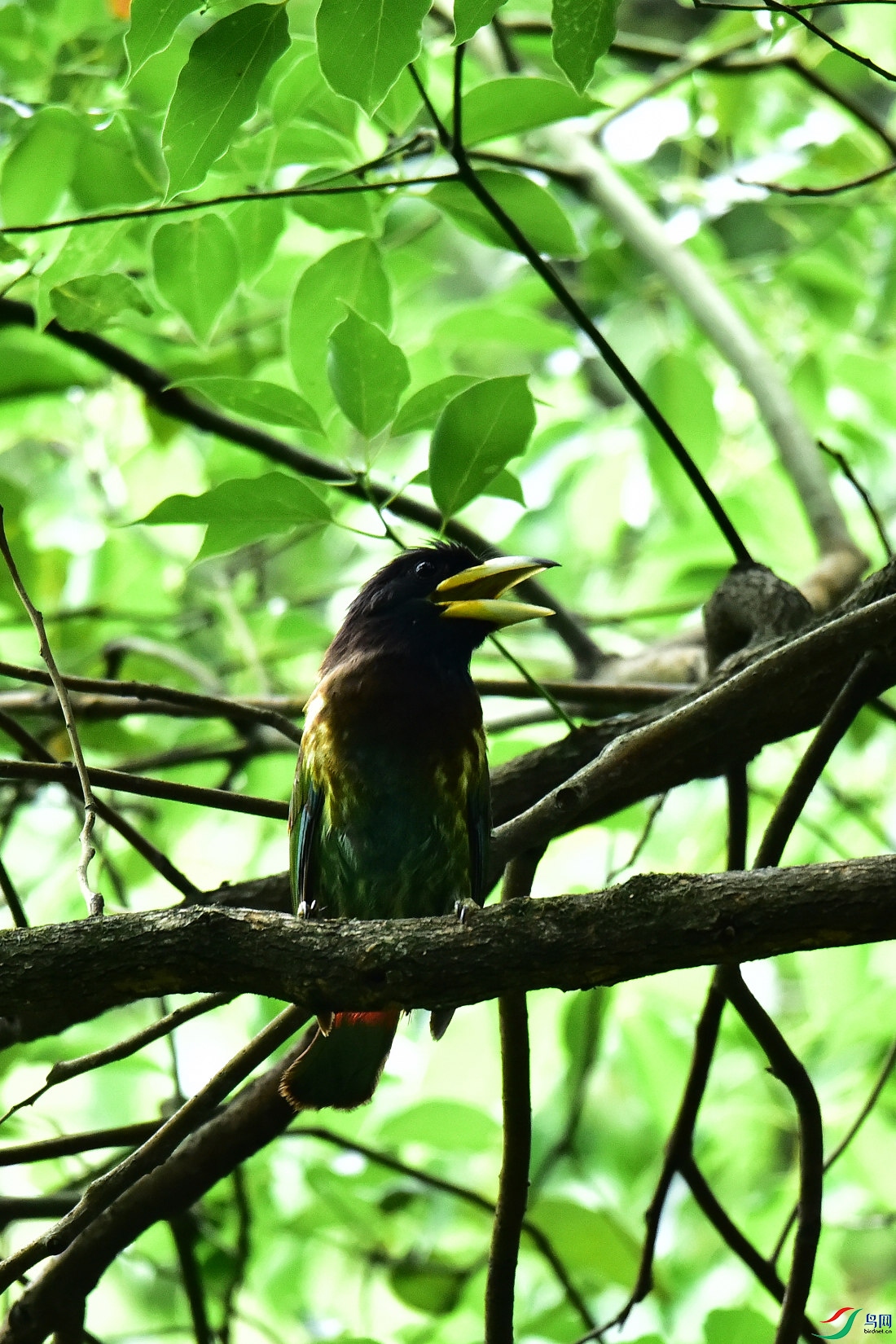 DSC_0847.JPG