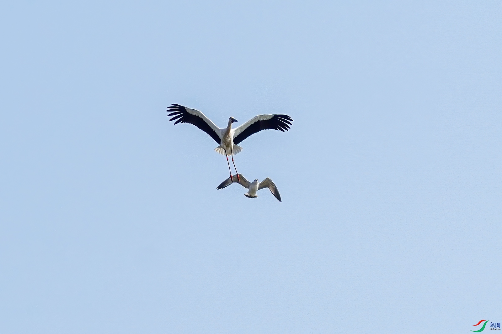 DSC04853-10.jpg