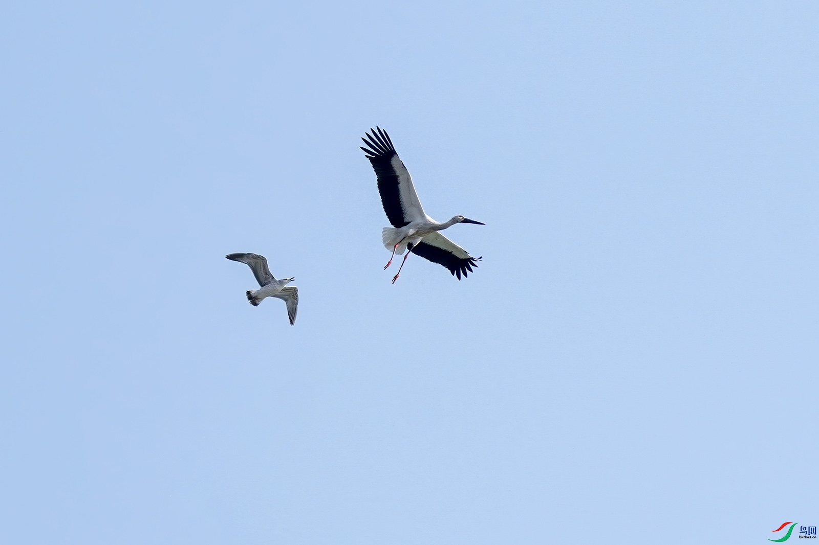 DSC04875-10.jpg