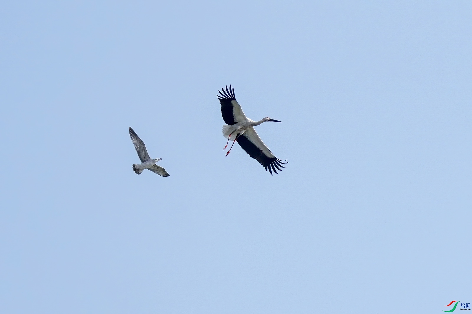 DSC04876-10.jpg