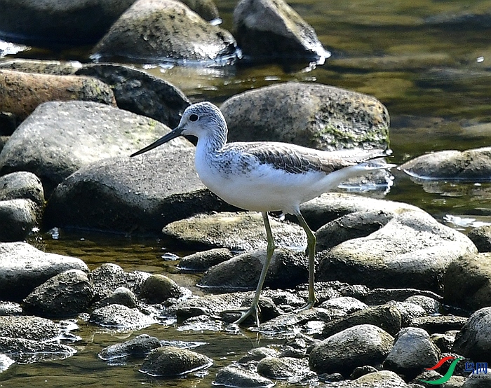 DSC_2784.JPG