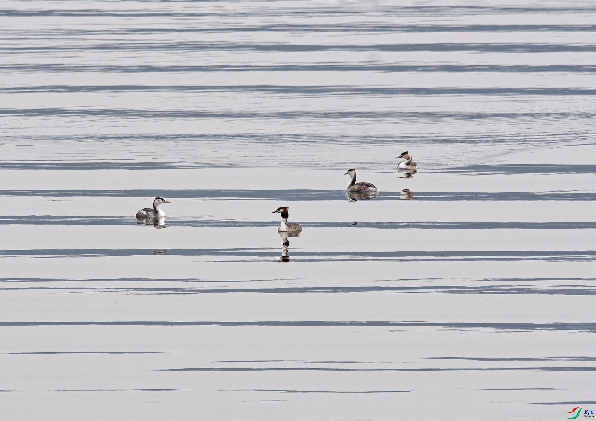 ���ڣ�������ҽ����в���