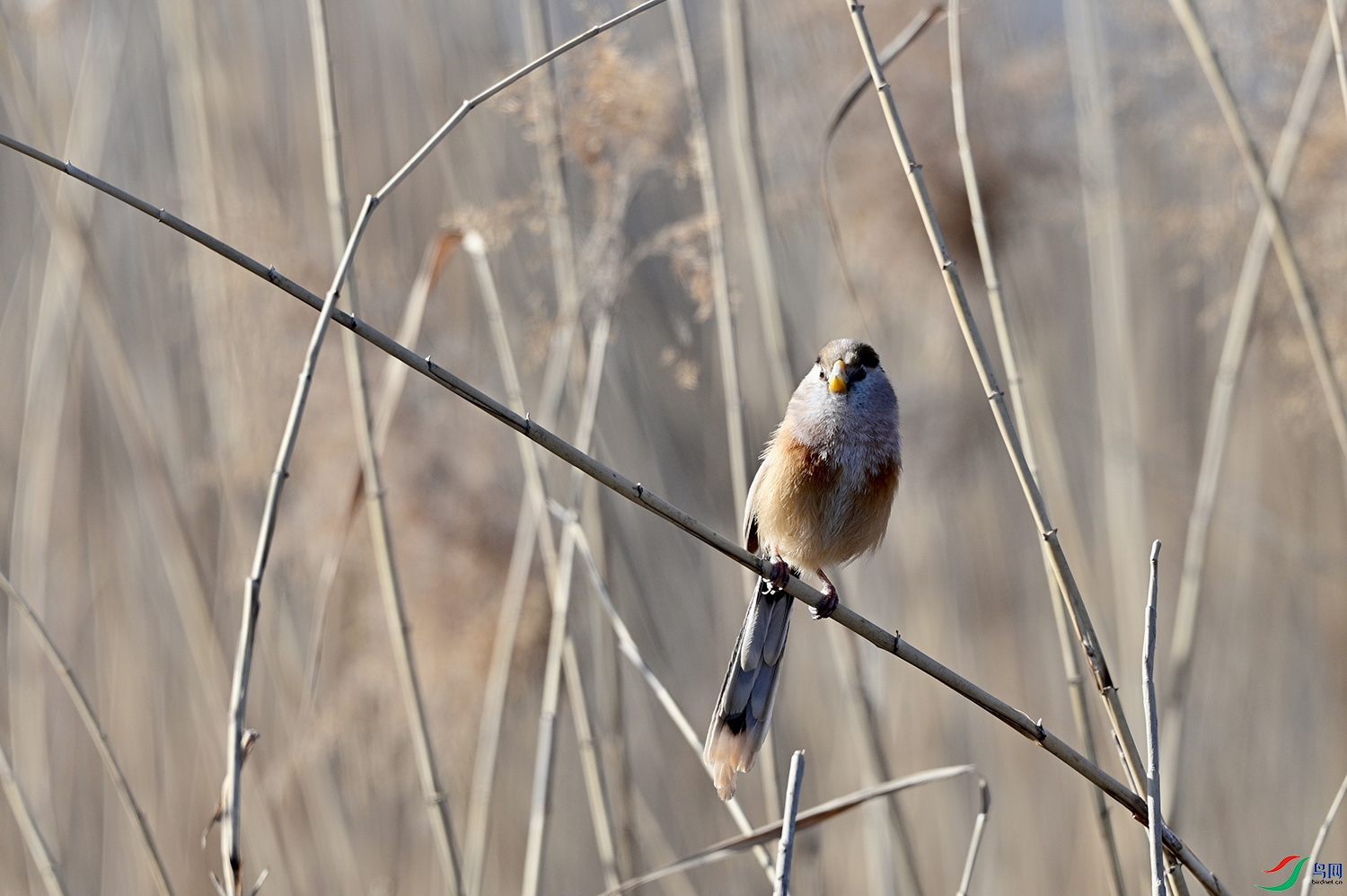 DSC_6404.jpg