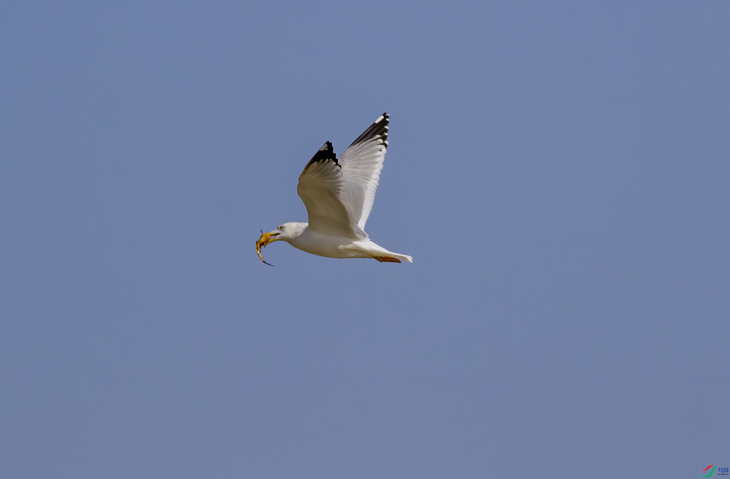 K7D00572.jpg