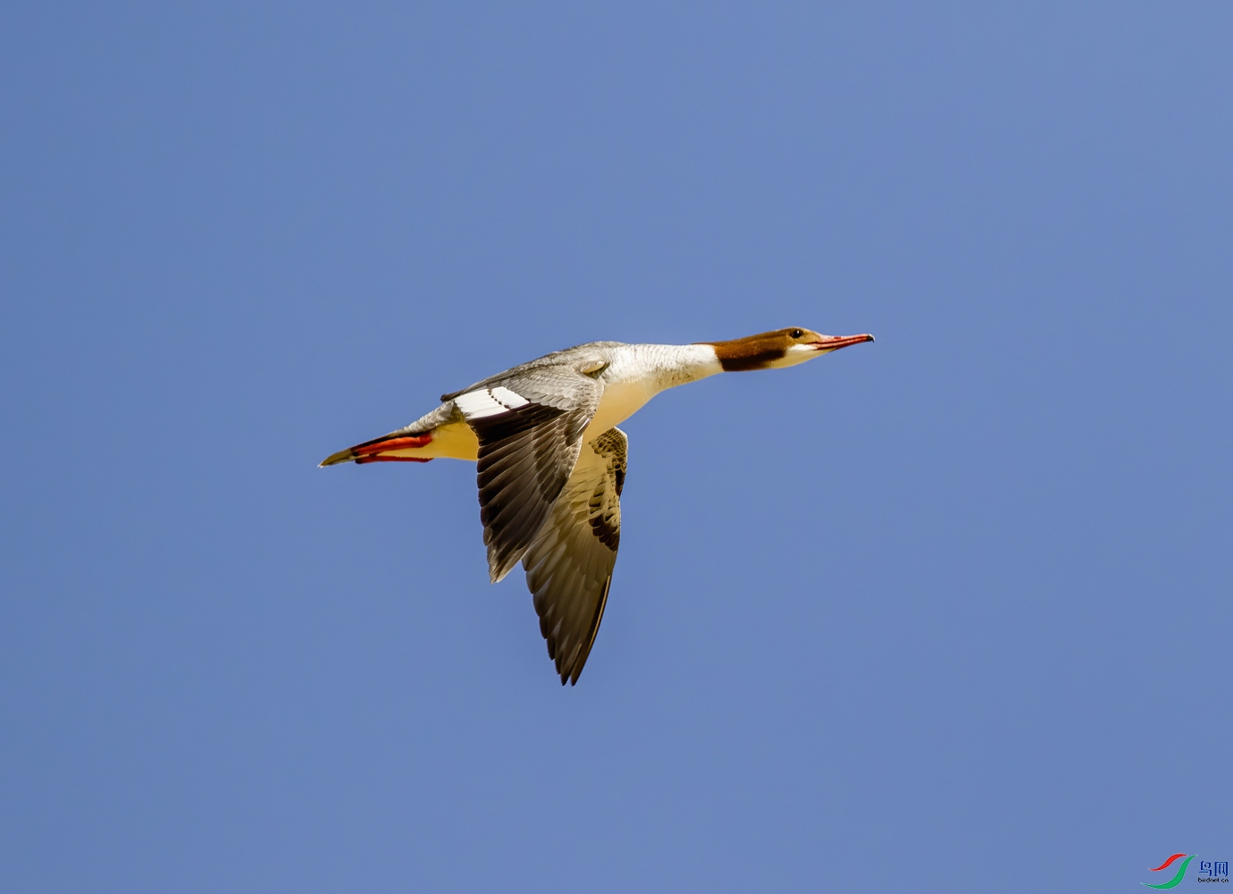 K7D00049_1.jpg
