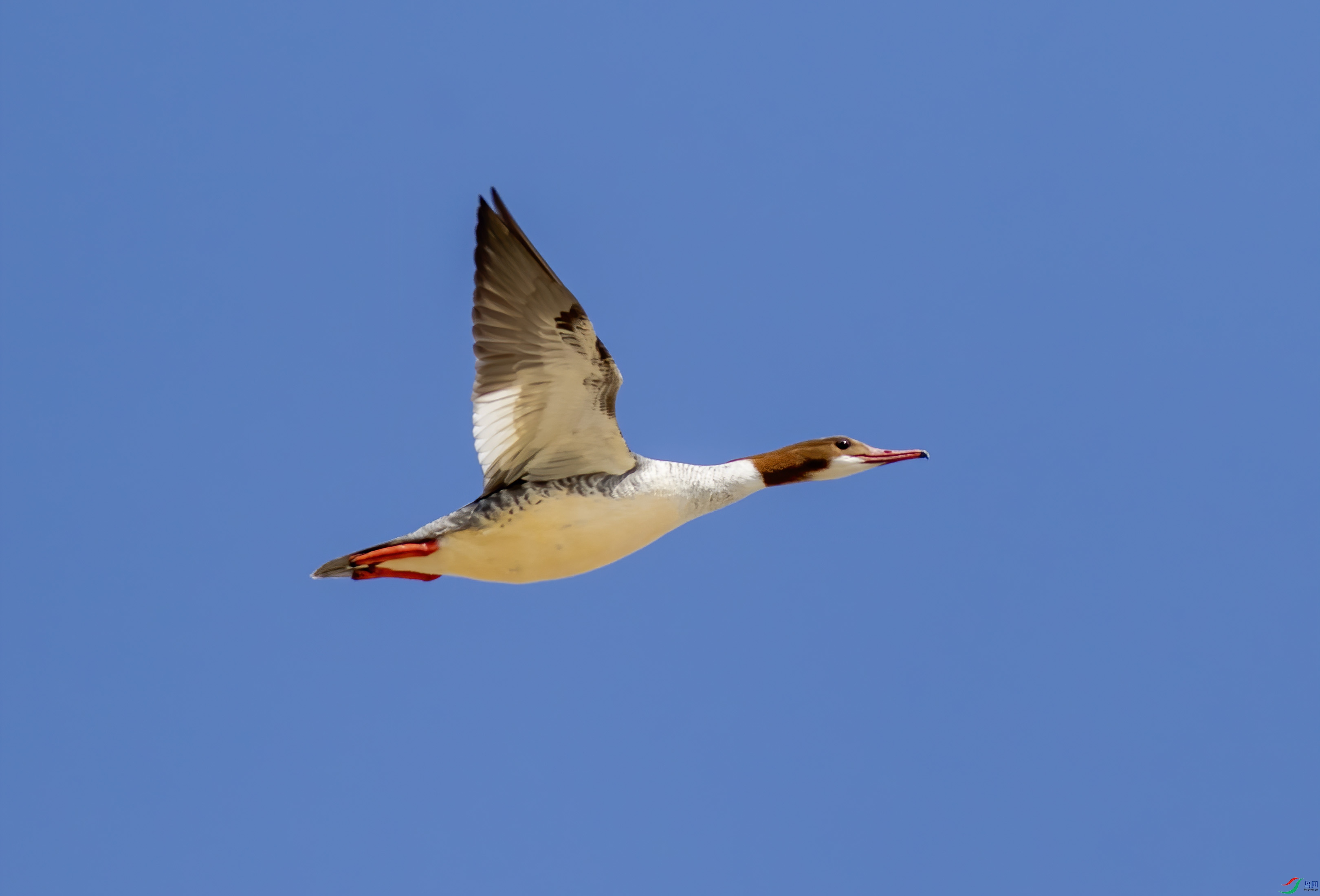 K7D00051.jpg