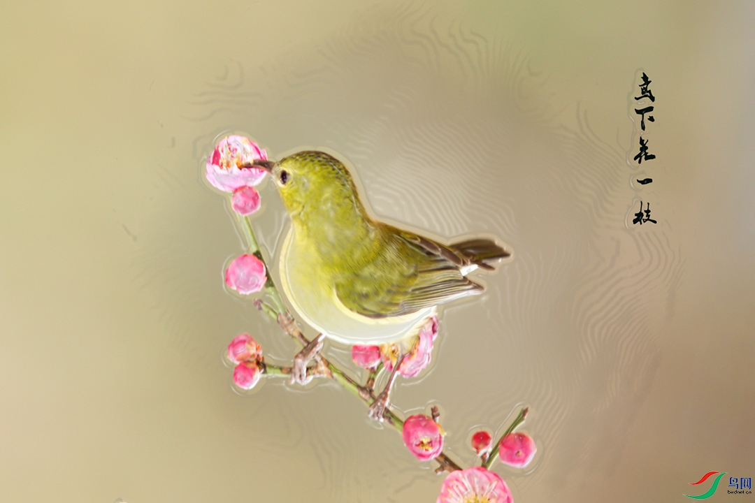 AT6A3645r.jpg
