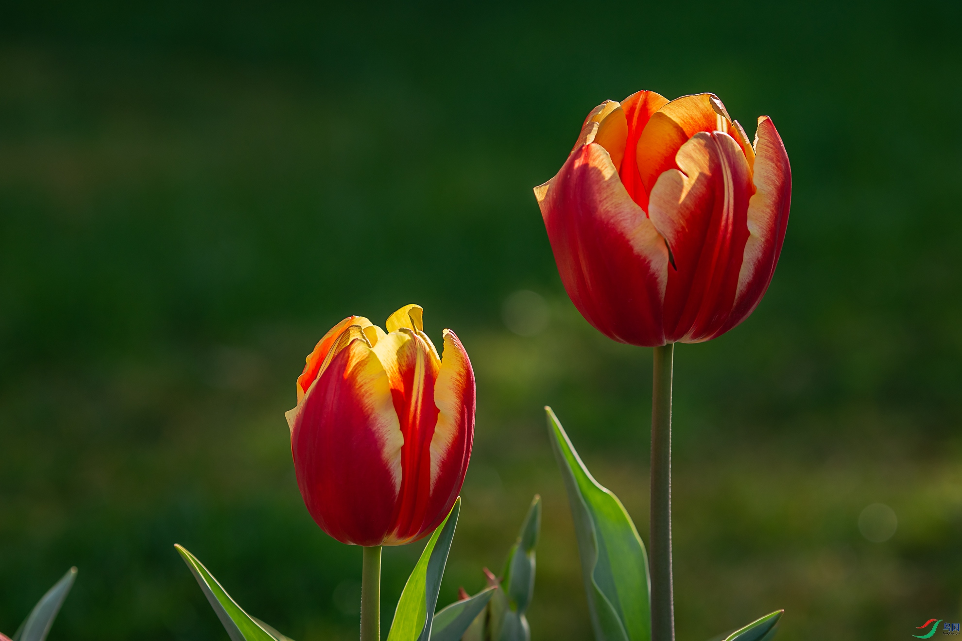 δ����-02536.jpg
