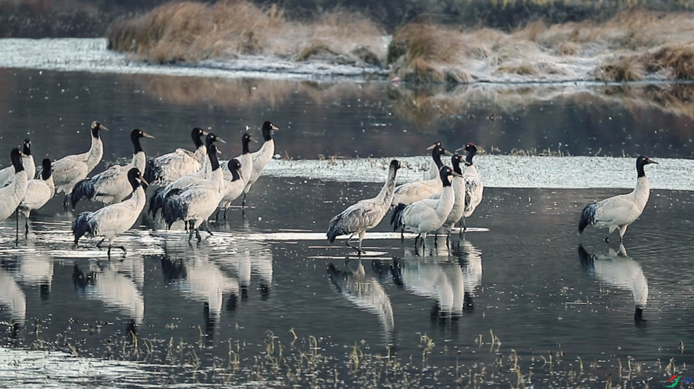 ����2021-02-17 ����2.43.15.jpg