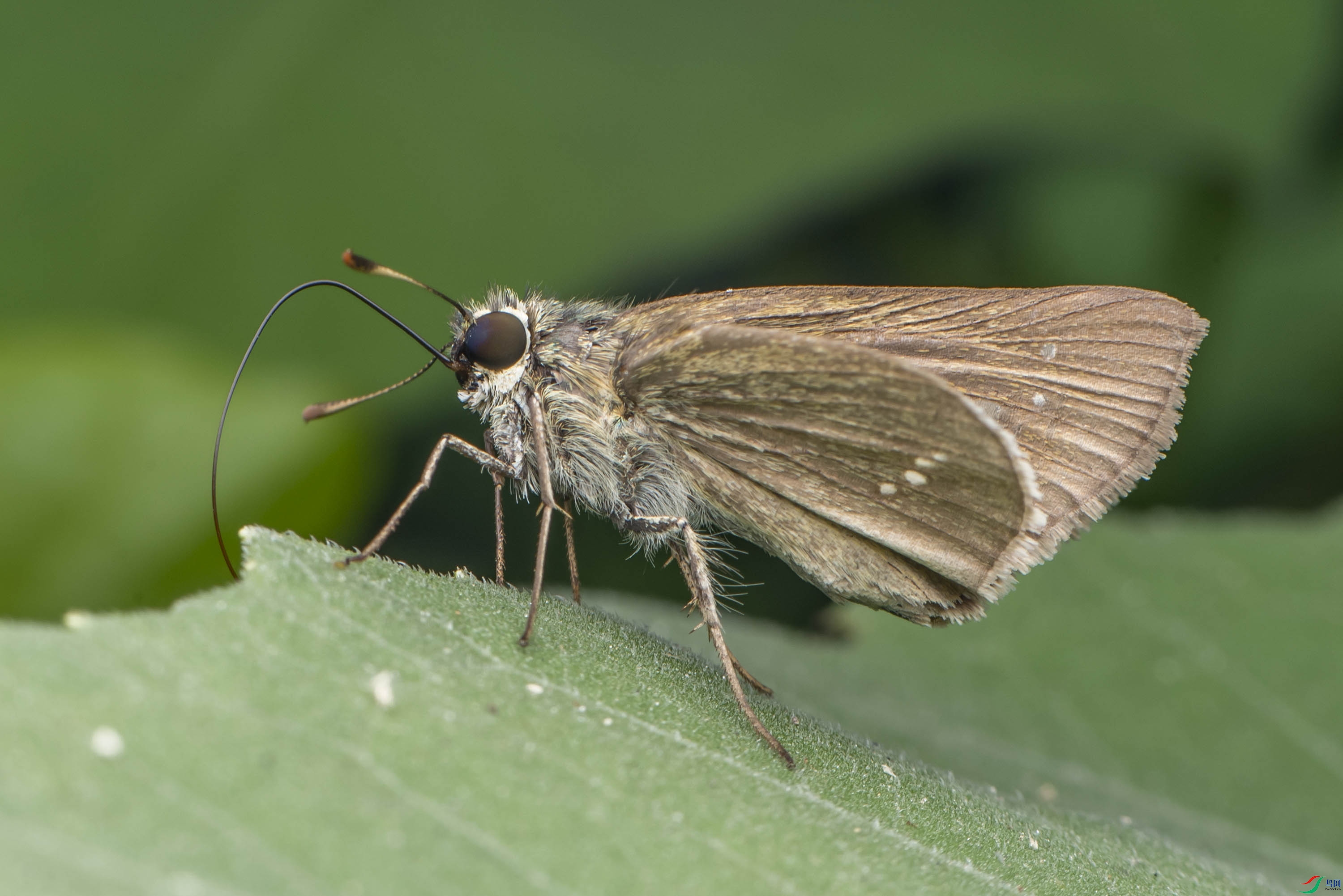 DSC_8783.jpg