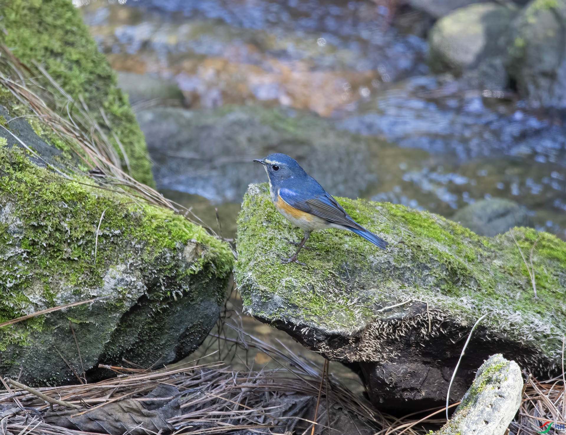 DSC_6054.jpg